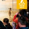 CL kampaňě 7. nejlepší zoo na světě, foto: Petr Hamerník, Zoo Praha
