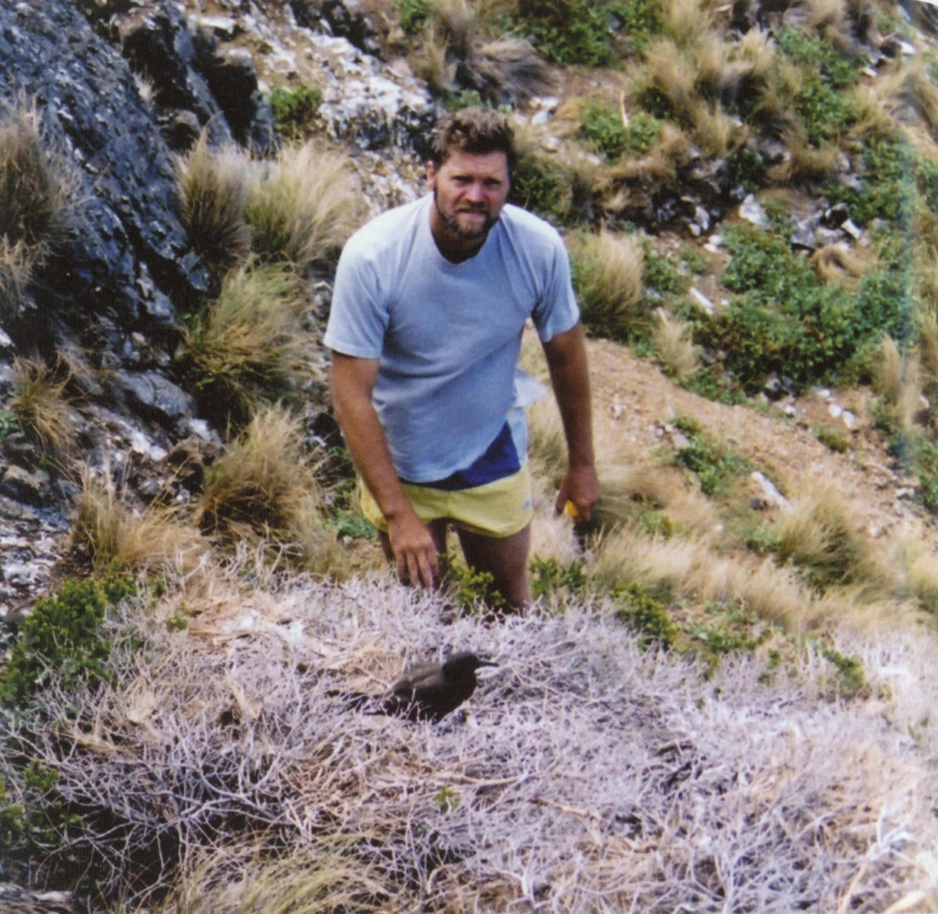 Stephen Fellenberg, founder of the Sydney breeding, during the 2001 expedition to Ball’s Pyramid. Photo: Nicholas Carlile. Source: Return of the Phasmid, R. Wilkinson.
